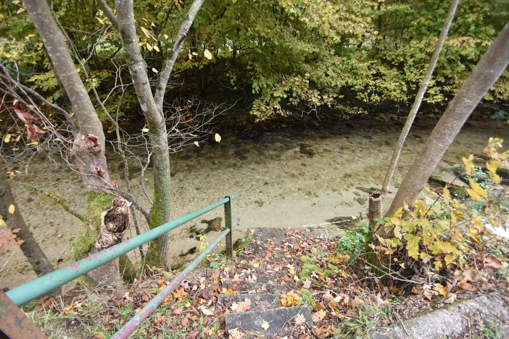 Wohnhaus mit großem Waldgrundstück