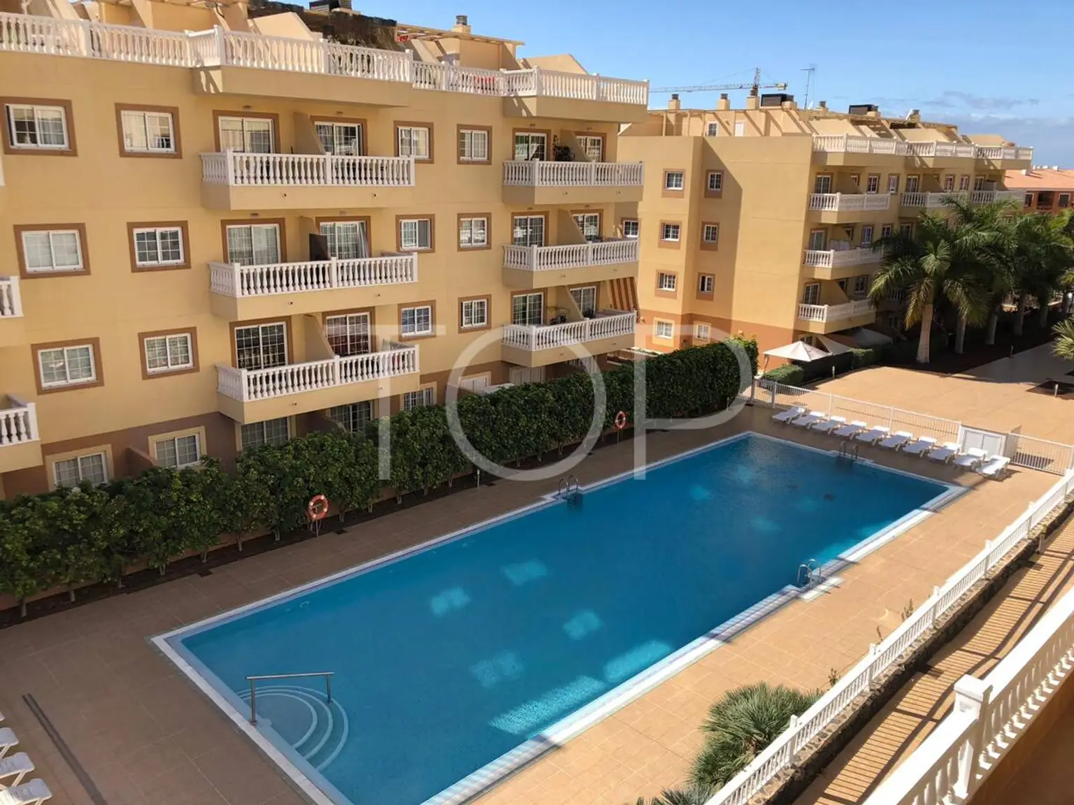 Wohnung zur Miete in Palm Mar