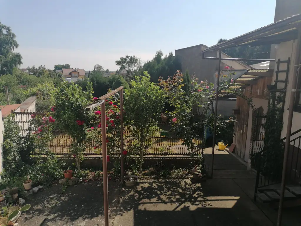 Einfamilienhaus mit kleinem Garten