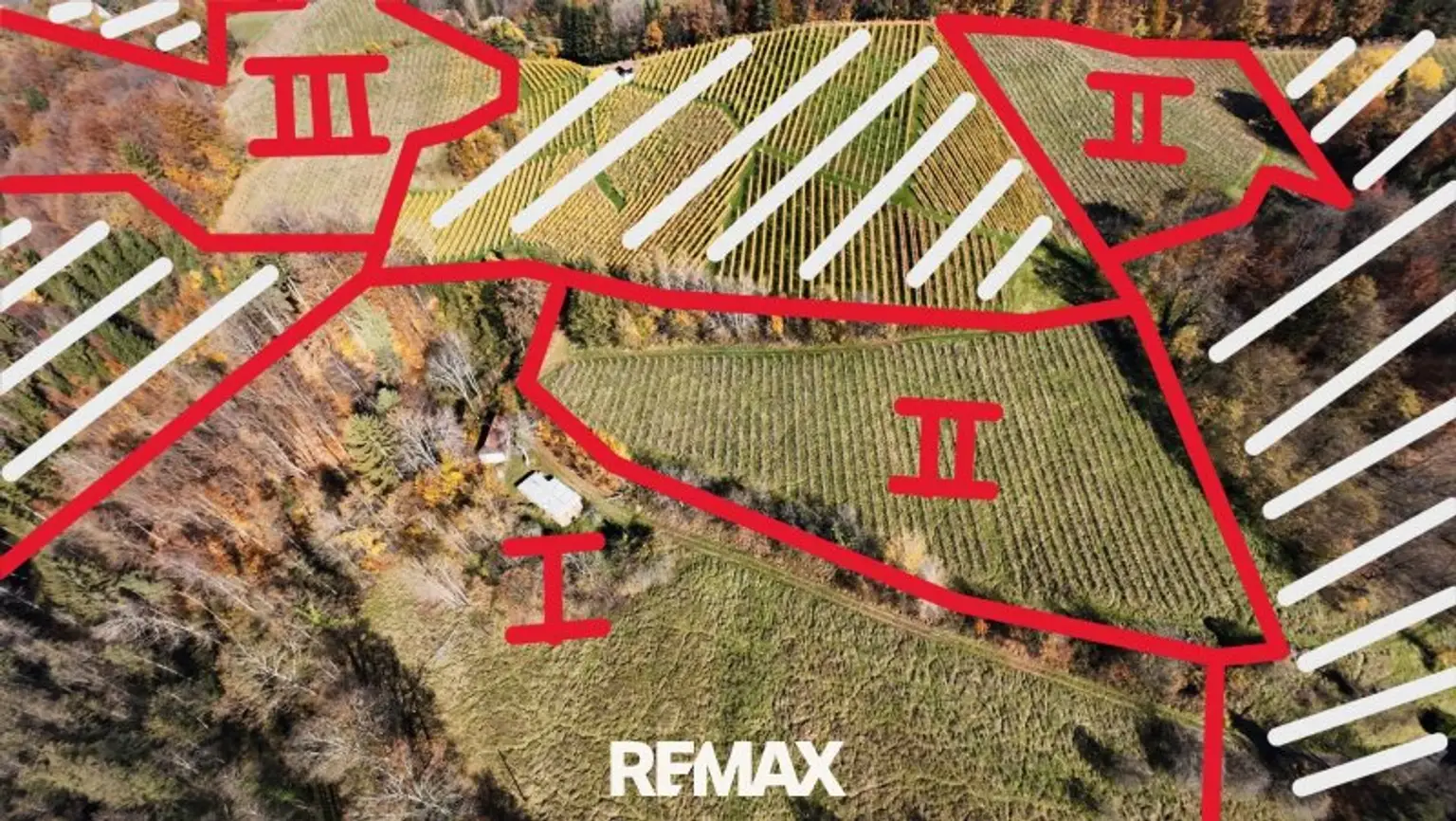 Gesamte Liegenschaft ungefährer Grenzverlauf