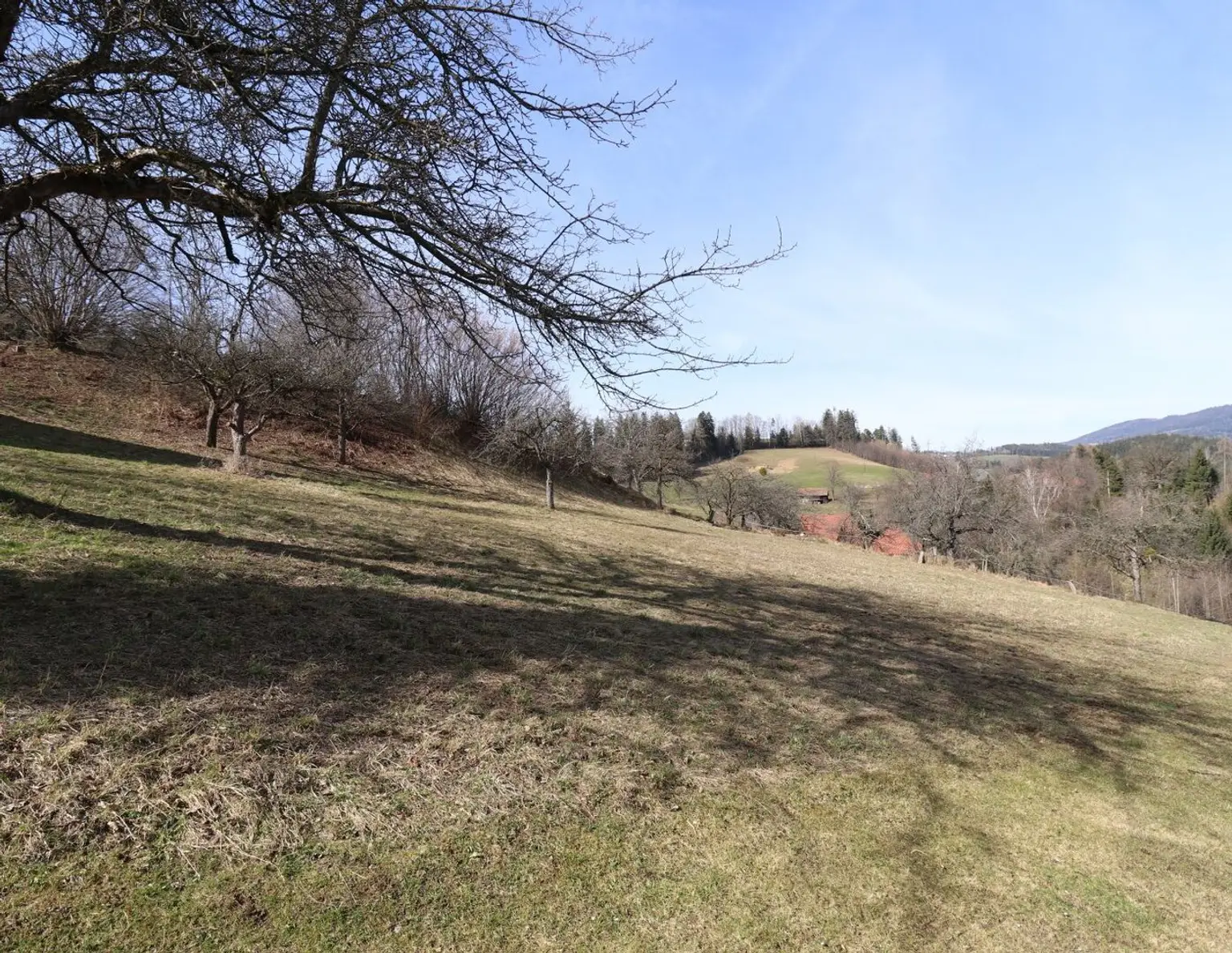 Weitblick nahe Maria Lankowitz