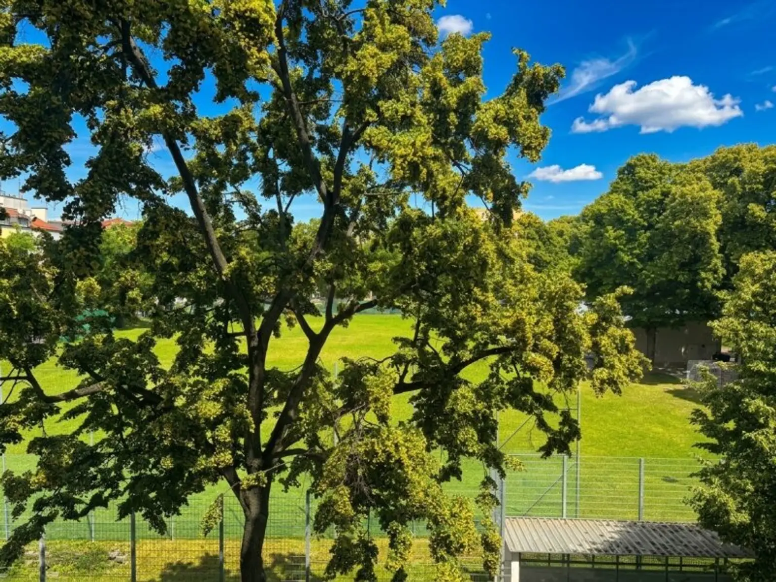 Ausblick