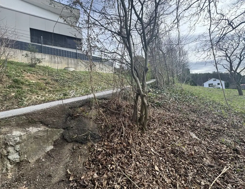 Großzügiges Grundstück in sonniger Hanglage von Graz-Andritz zu verkaufen!