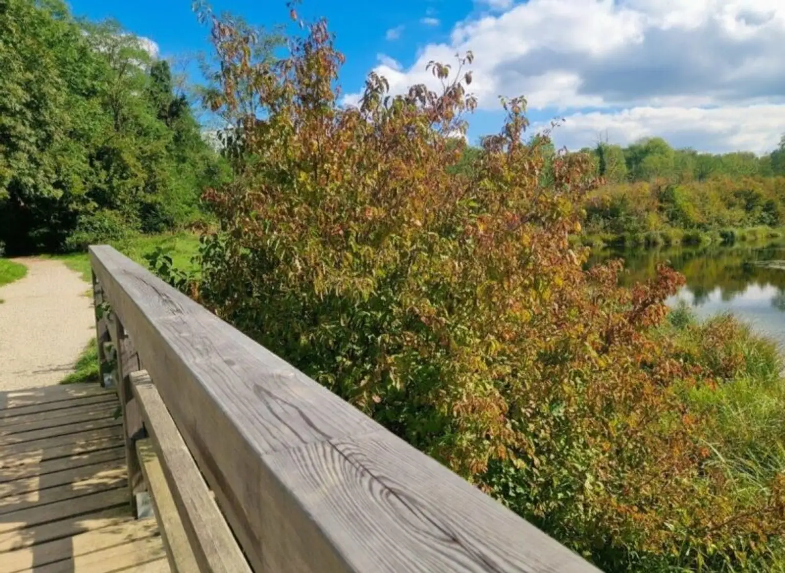 Penthous Dachgeschoss Wohnung an der Lobau!