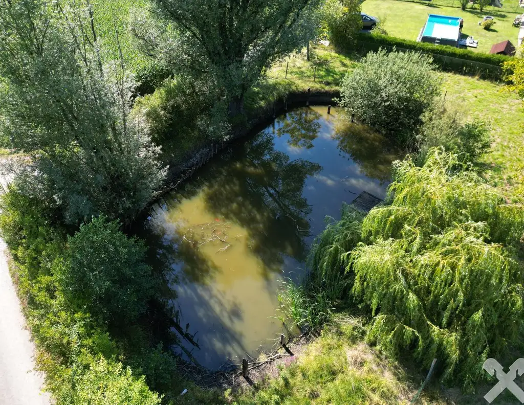 Idyllisch Leben - Grundstück mit altem Baumbestand und Teich
