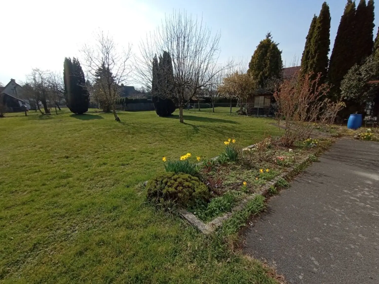 Ansicht - Sonniges Baugrundstück mit Gebirgsblick Kauf Maxglan Salzburg