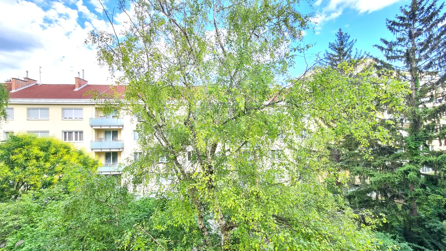 Ausblick Garten