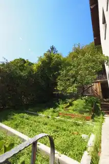 Gemüsebeet_neben_dem_Haus