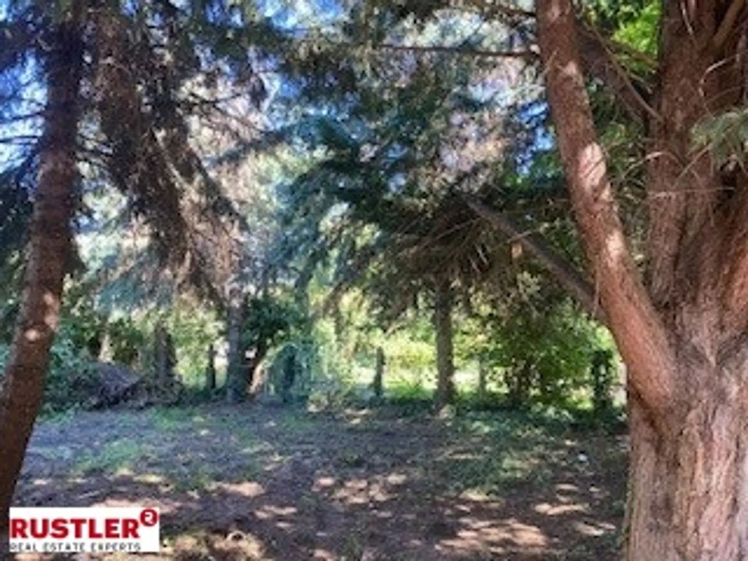 Einfamilienhaus mit großem Garten