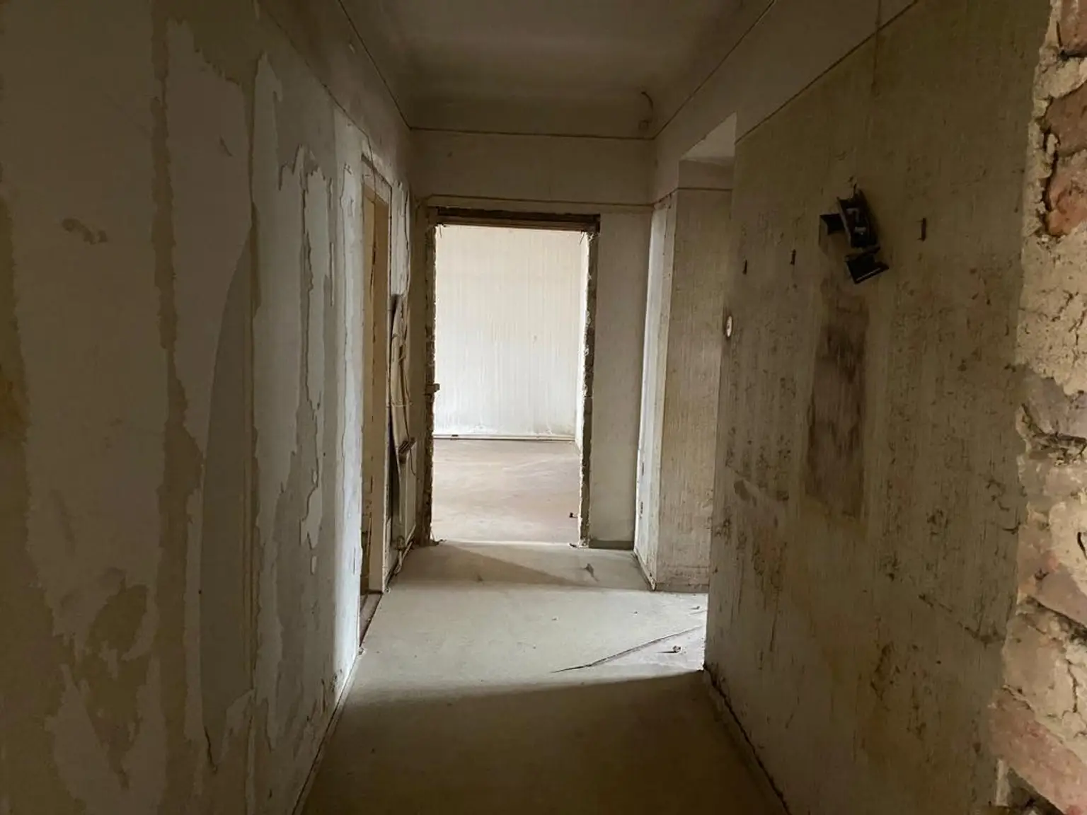 -20000434_1004159943_16344457