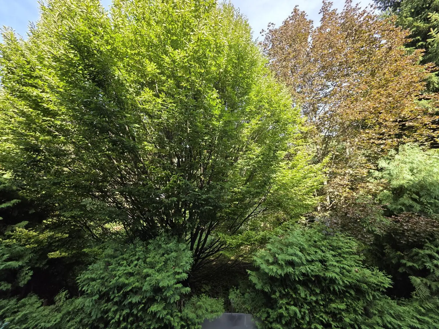 Wohnung - Aussicht Zimmer
