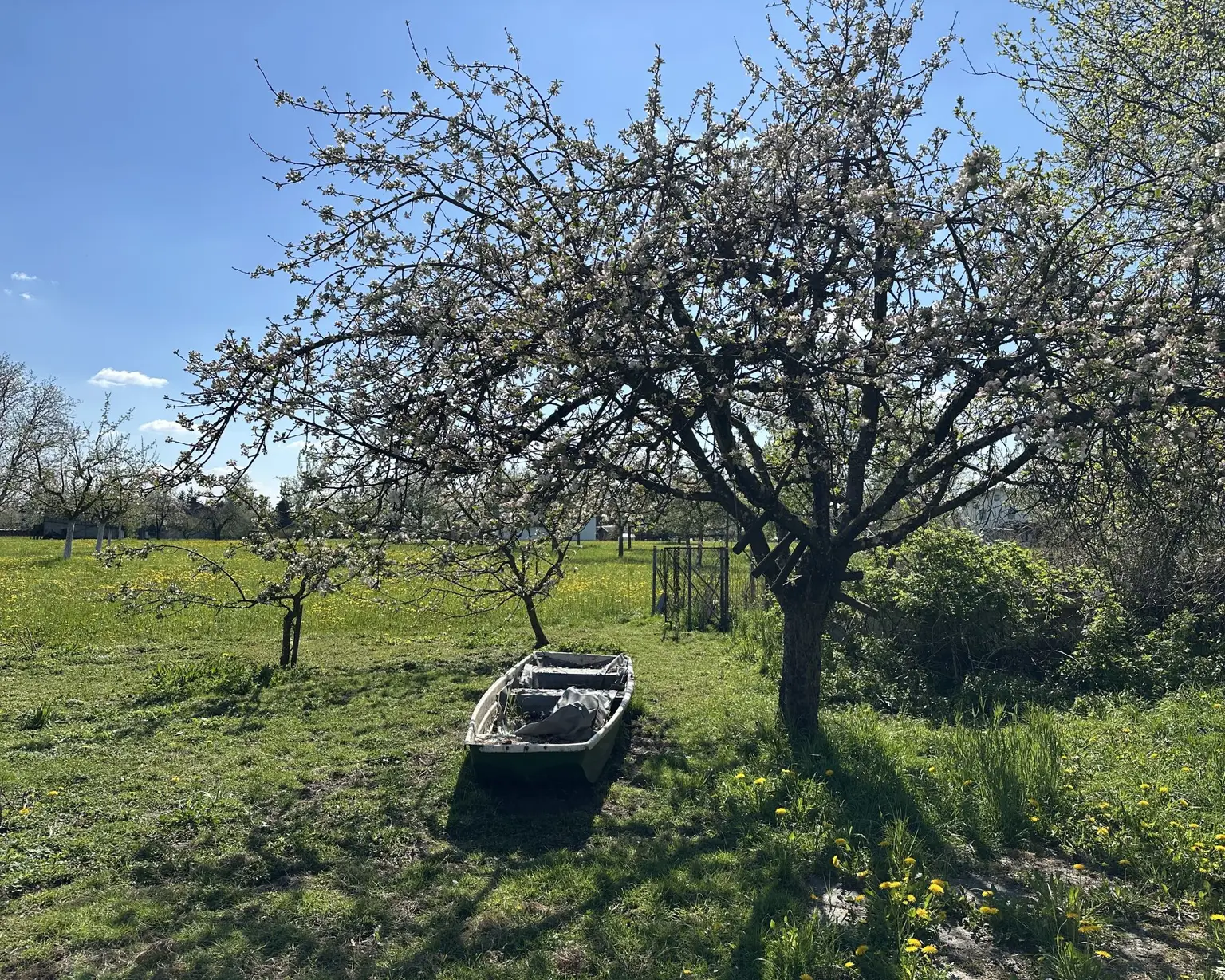 Einfamilienhaus mit großem Garten