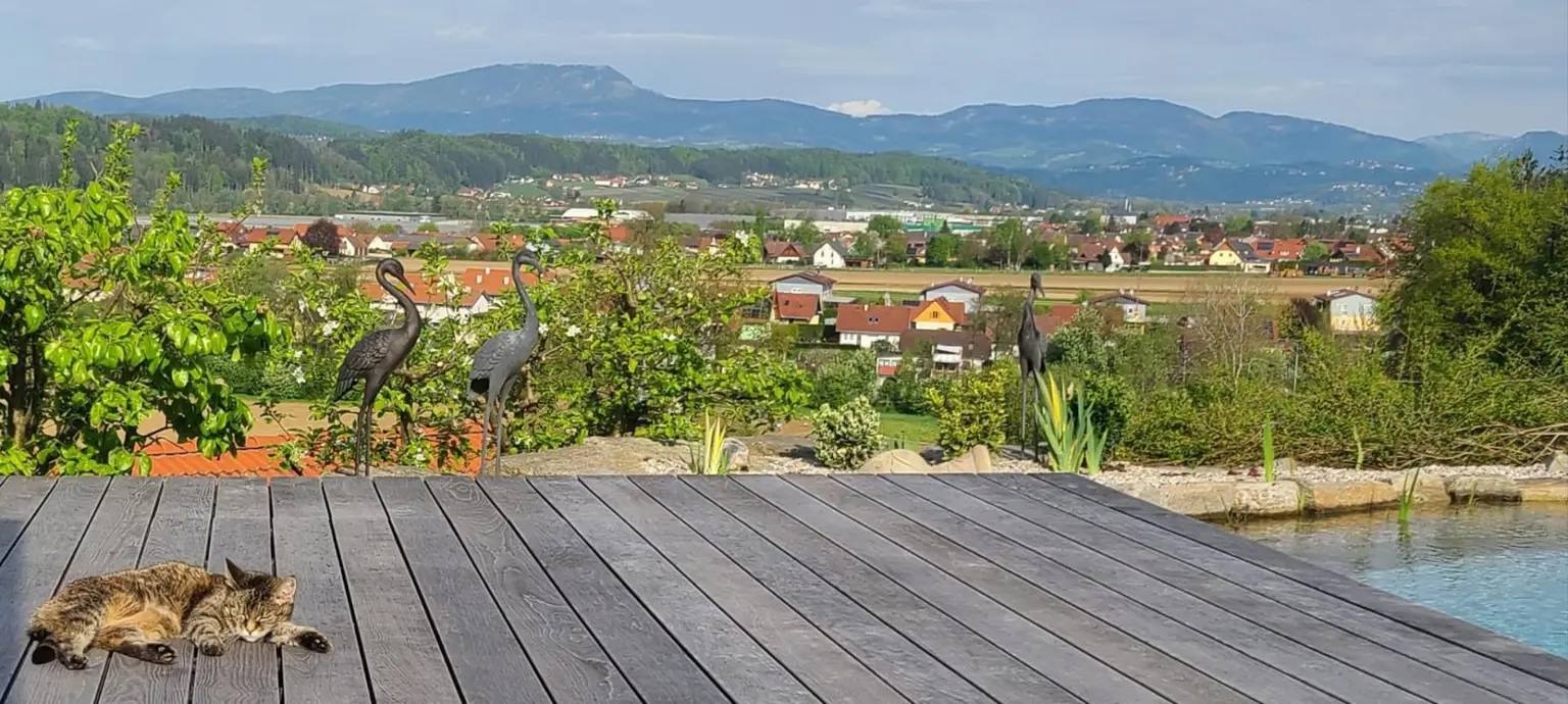 Aussicht