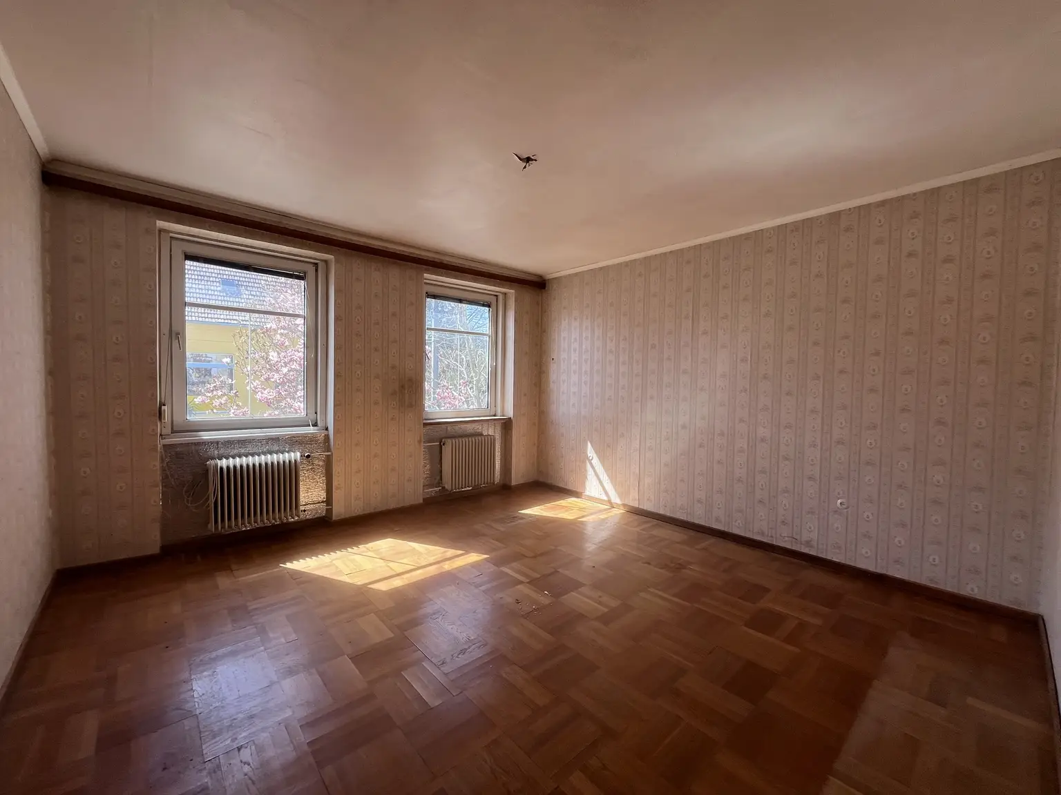 12 Zimmer Haus  mit Geschäftslokal auf 948 m2 Grundstück