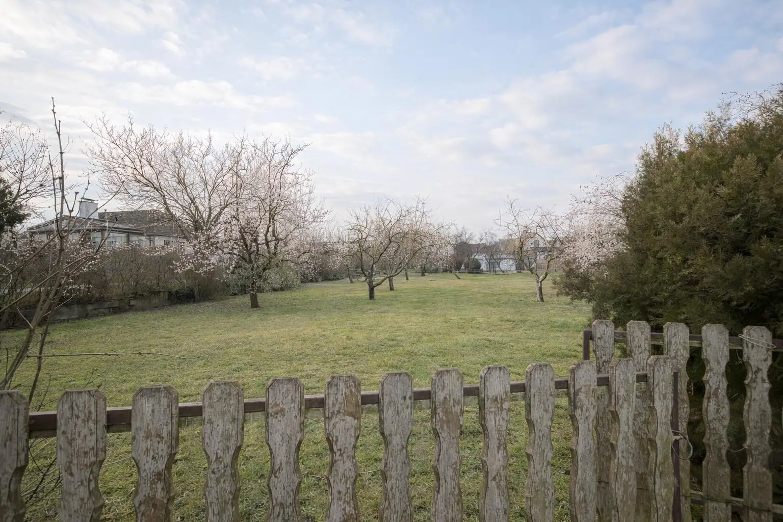 1 Baugrundstück Staßensicht