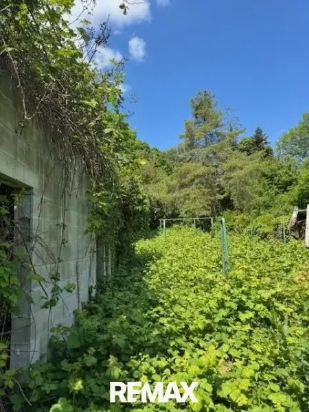 Garten.