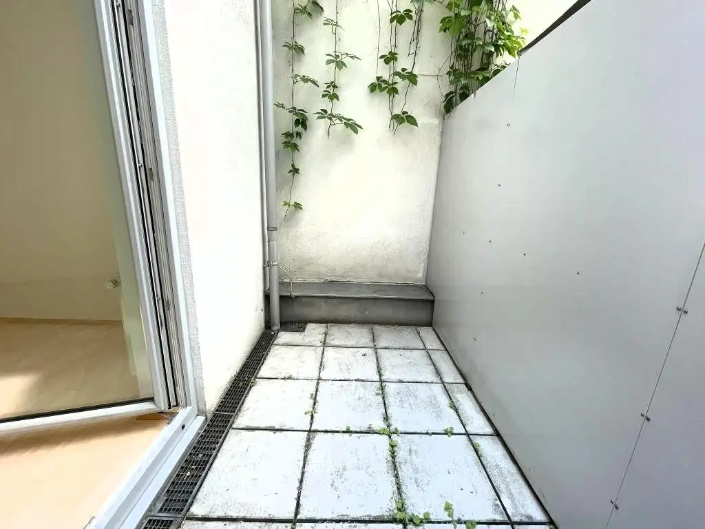 Erdgeschoß, barrierefrei, Innenhof! Ruhige, loft-artige Neubauwohnung mit 2 kl. Terrassen