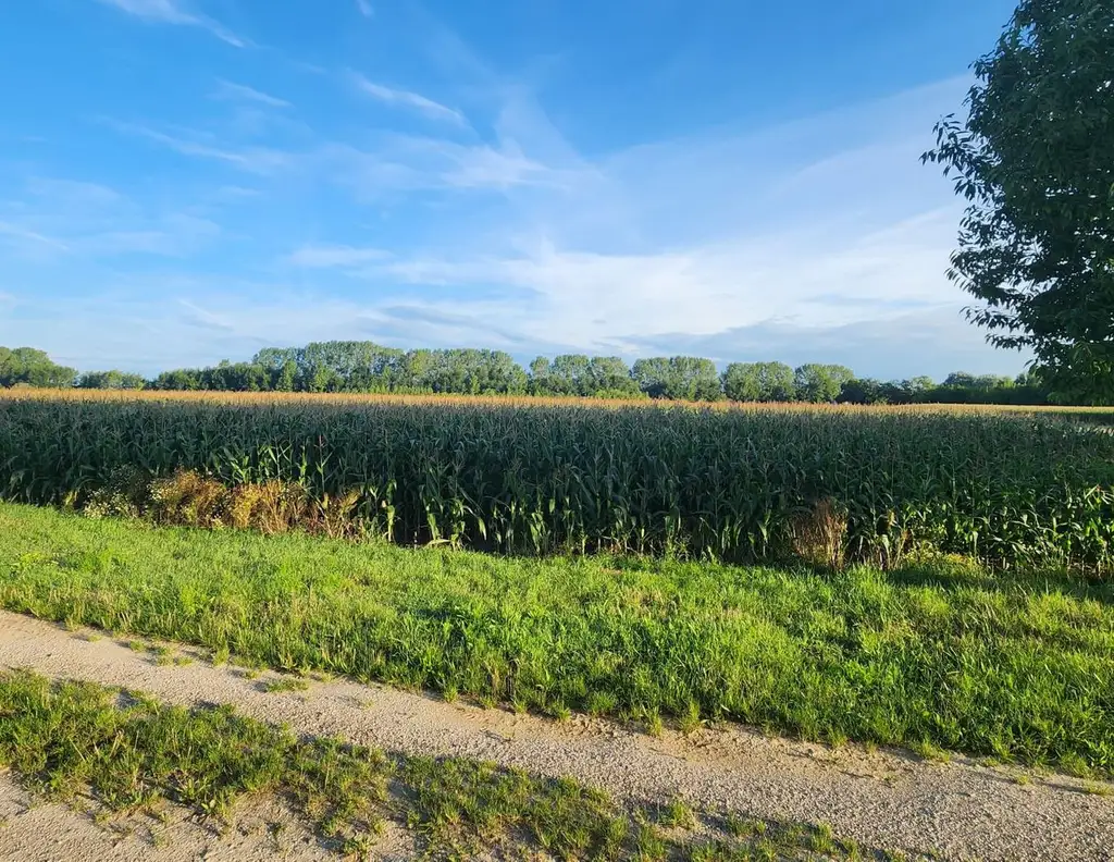 EINE SELTENE GELEGENHEIT AUF EINE KLEINE ACKERFLÄCHE IN FREUNDORF - ZUSAMMENHÄNGENDE LANDWIRTSCHAFTLICHE FLÄCHE