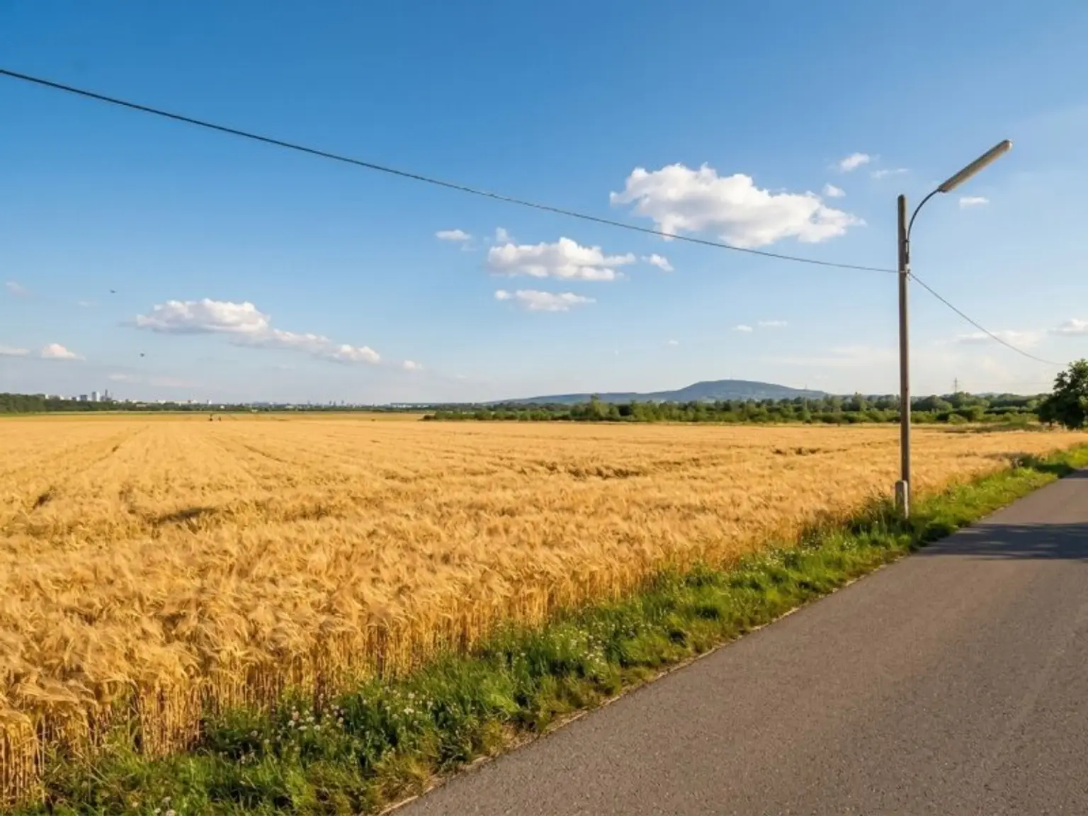 Blick zum Gegenüber