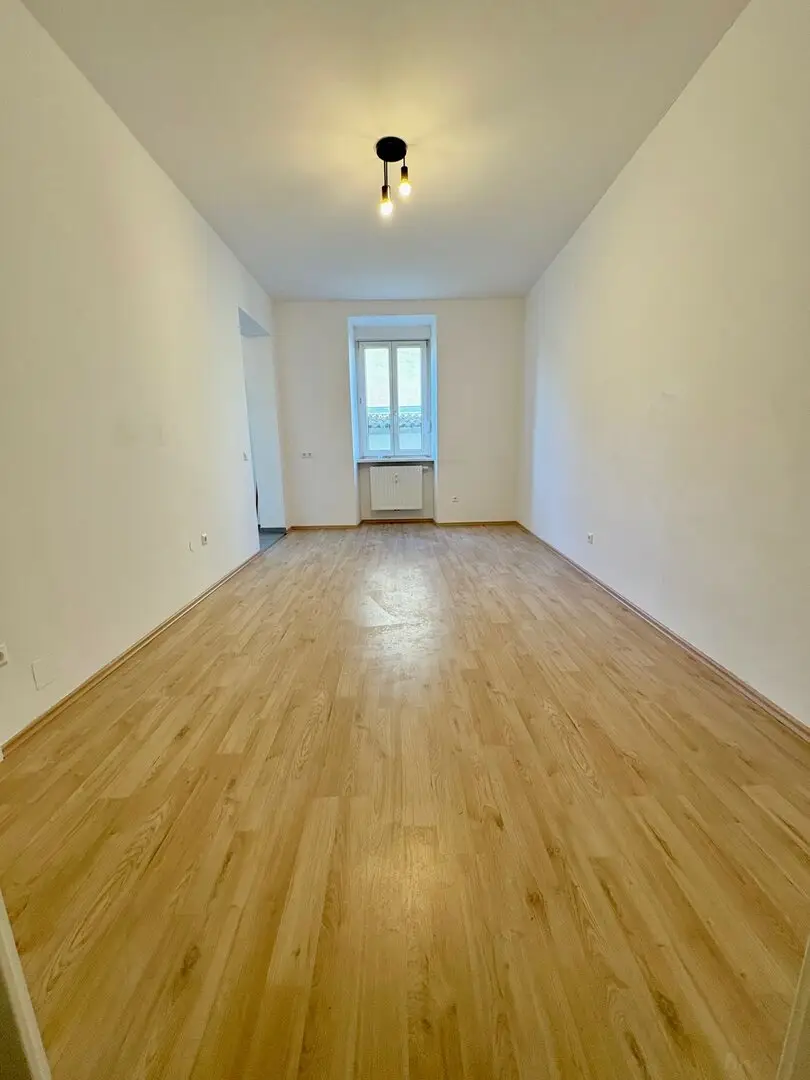 Wohn-/Essbereich mit offener Küche