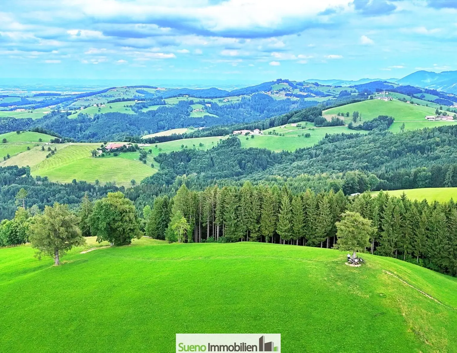 TRAUM-BERG GRILLPARZ im Herzen des Kremstals zum Verkauf! Über der Nebelgrenze!