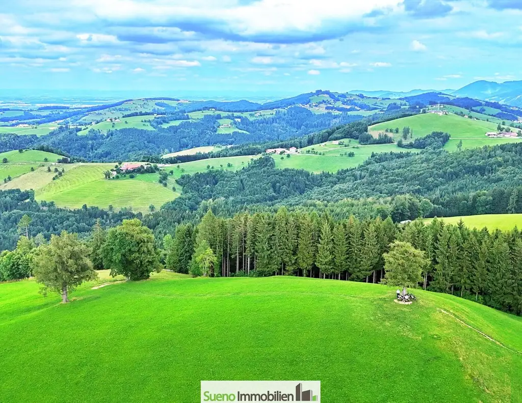 TRAUM-BERG GRILLPARZ im Herzen des Kremstals zum Verkauf! Über der Nebelgrenze!