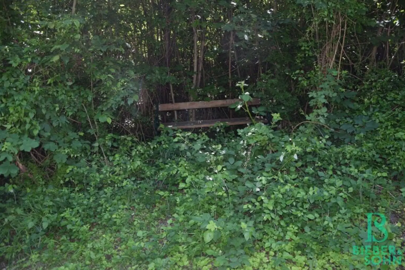 Mitten in der Idylle