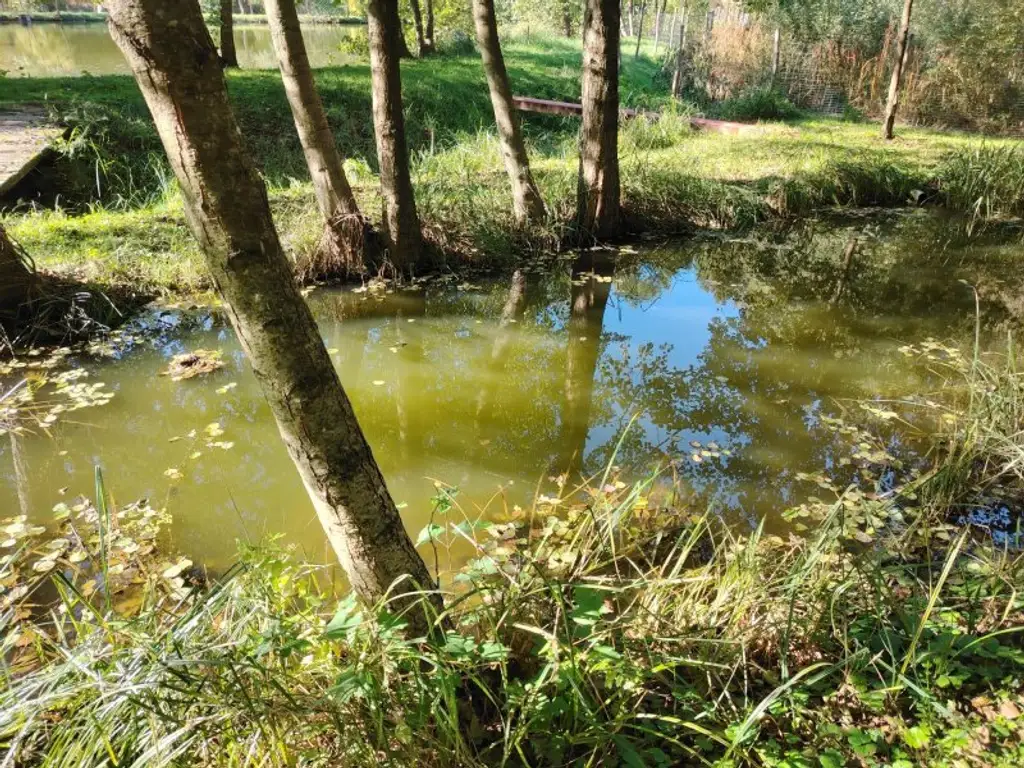 Naturidylle mit Fischteichanlage nahe Stadtschlaining