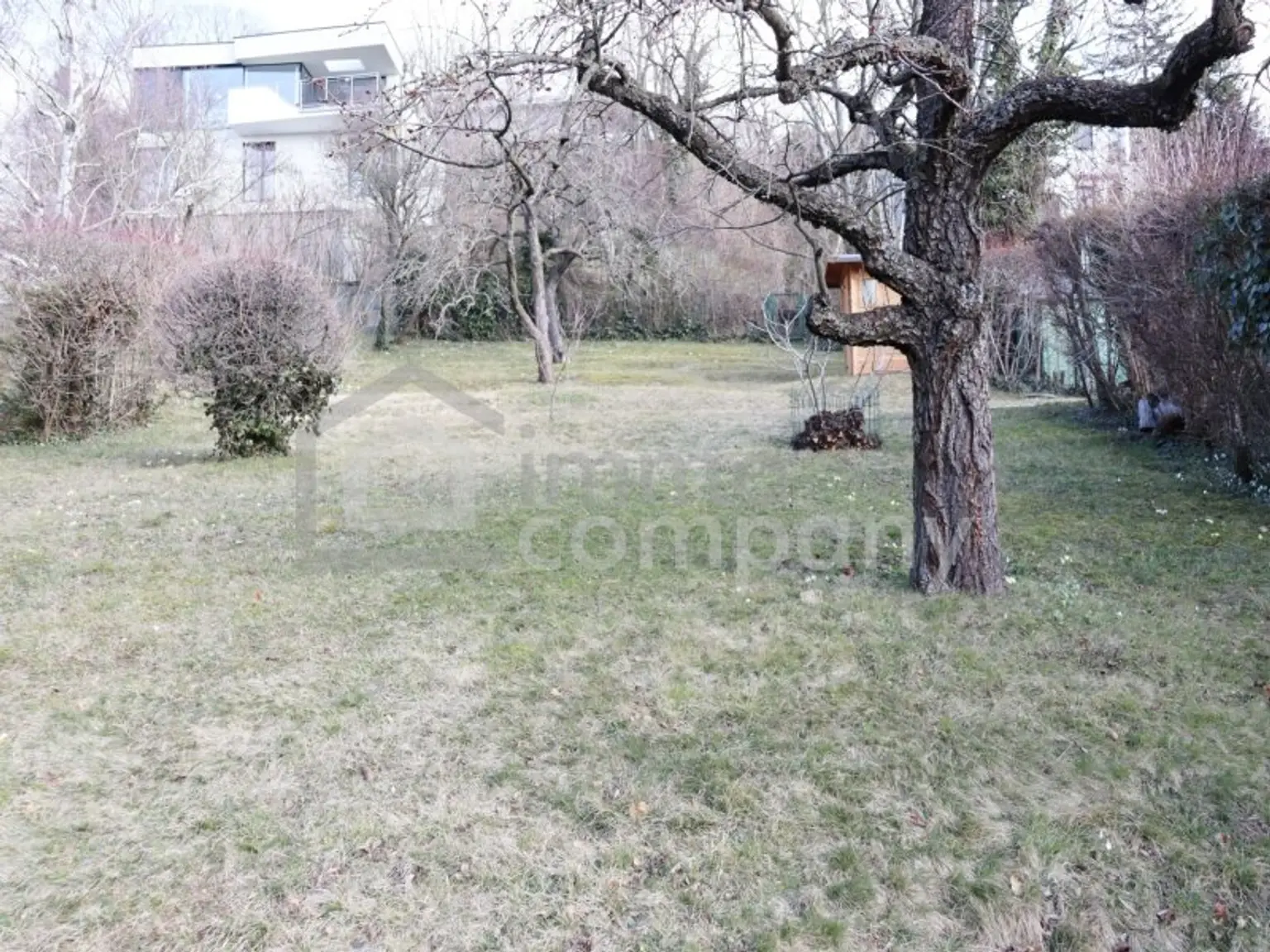 ES GIBT FÜR ALLES EINEN GRUND - wir haben gleich 3 davon…