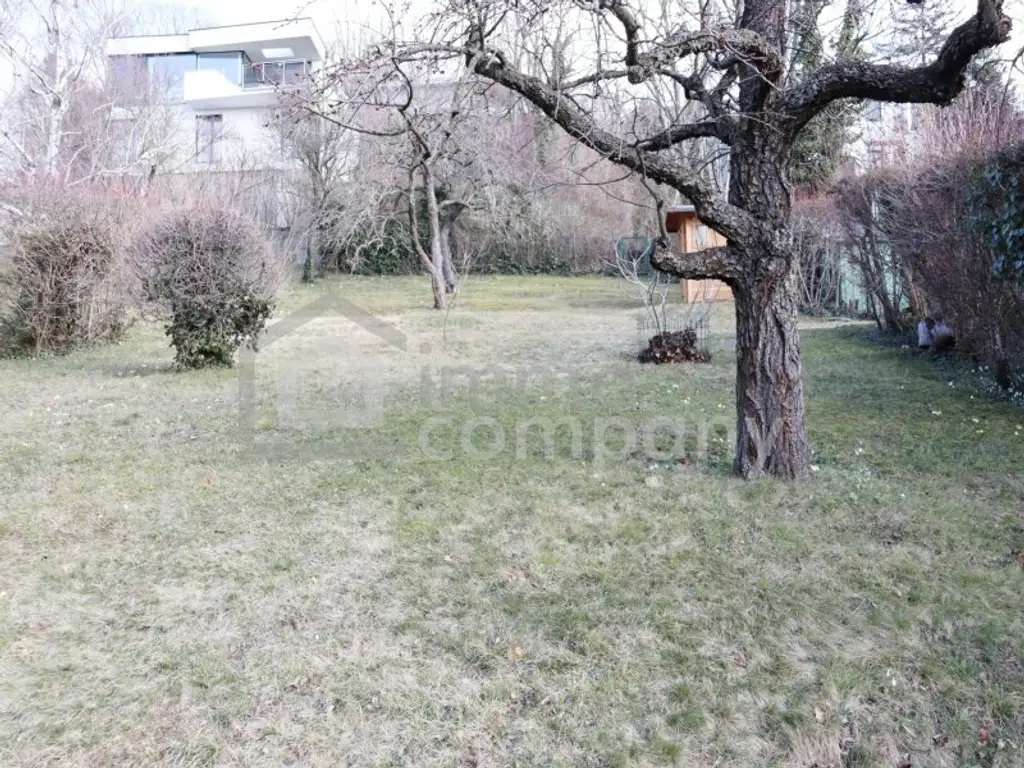 ES GIBT FÜR ALLES EINEN GRUND - wir haben gleich 3 davon…