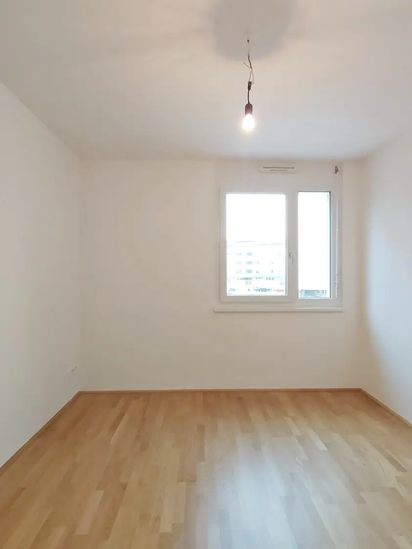 Zimmer II