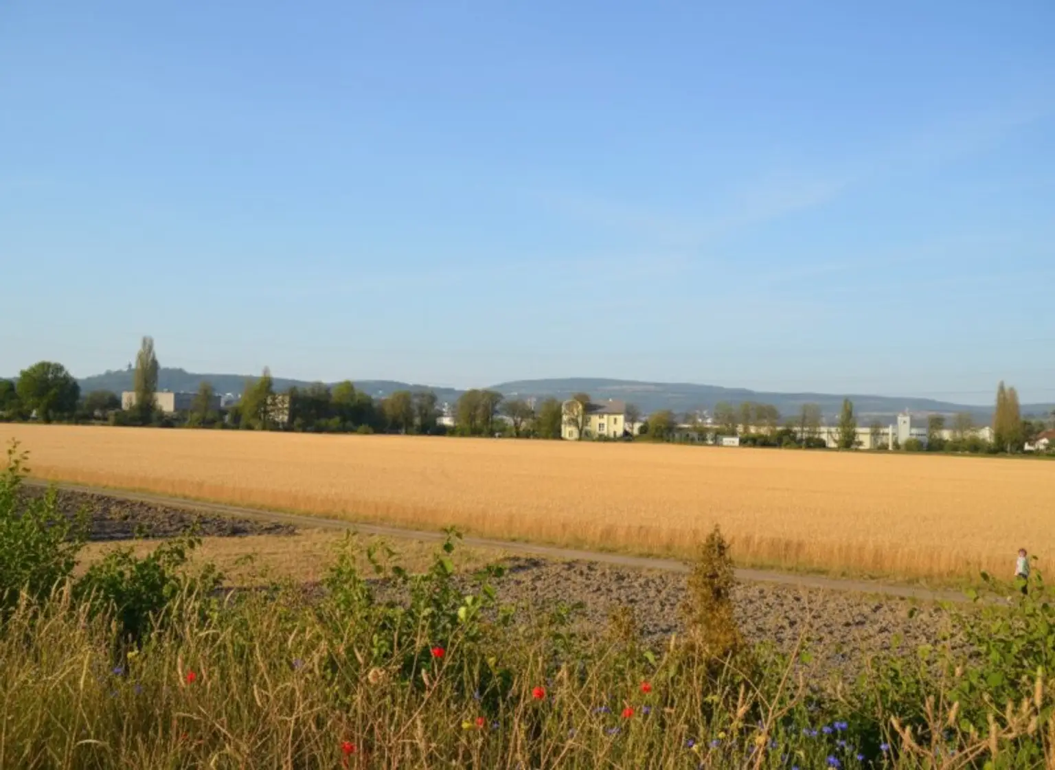 >> MIETHAUS mit 6 ZIMMER, DOPPELGARAGE, KELLER und EIGENGARTEN, am ORTSRAND!