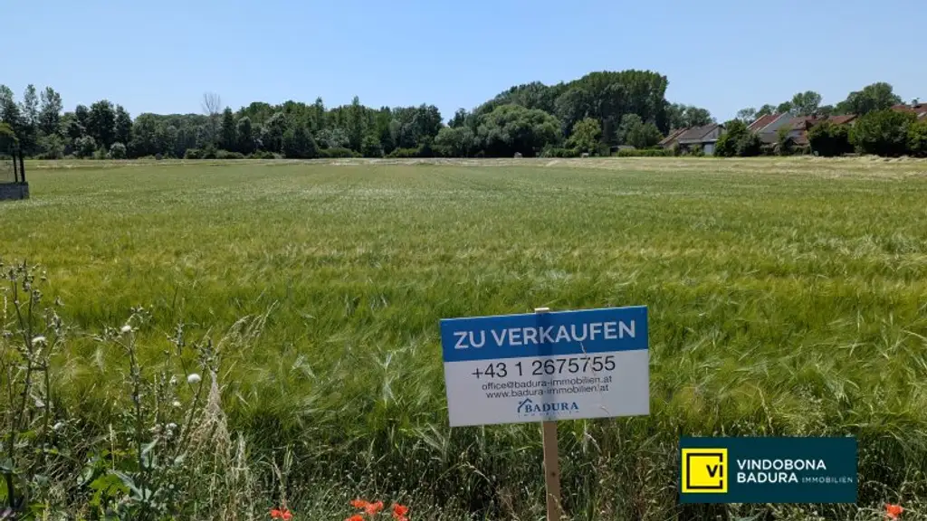 Großes, attraktives Baugrundstück in Trautmannsdorf an der Leitha – Ideal für Ihr Projekt!