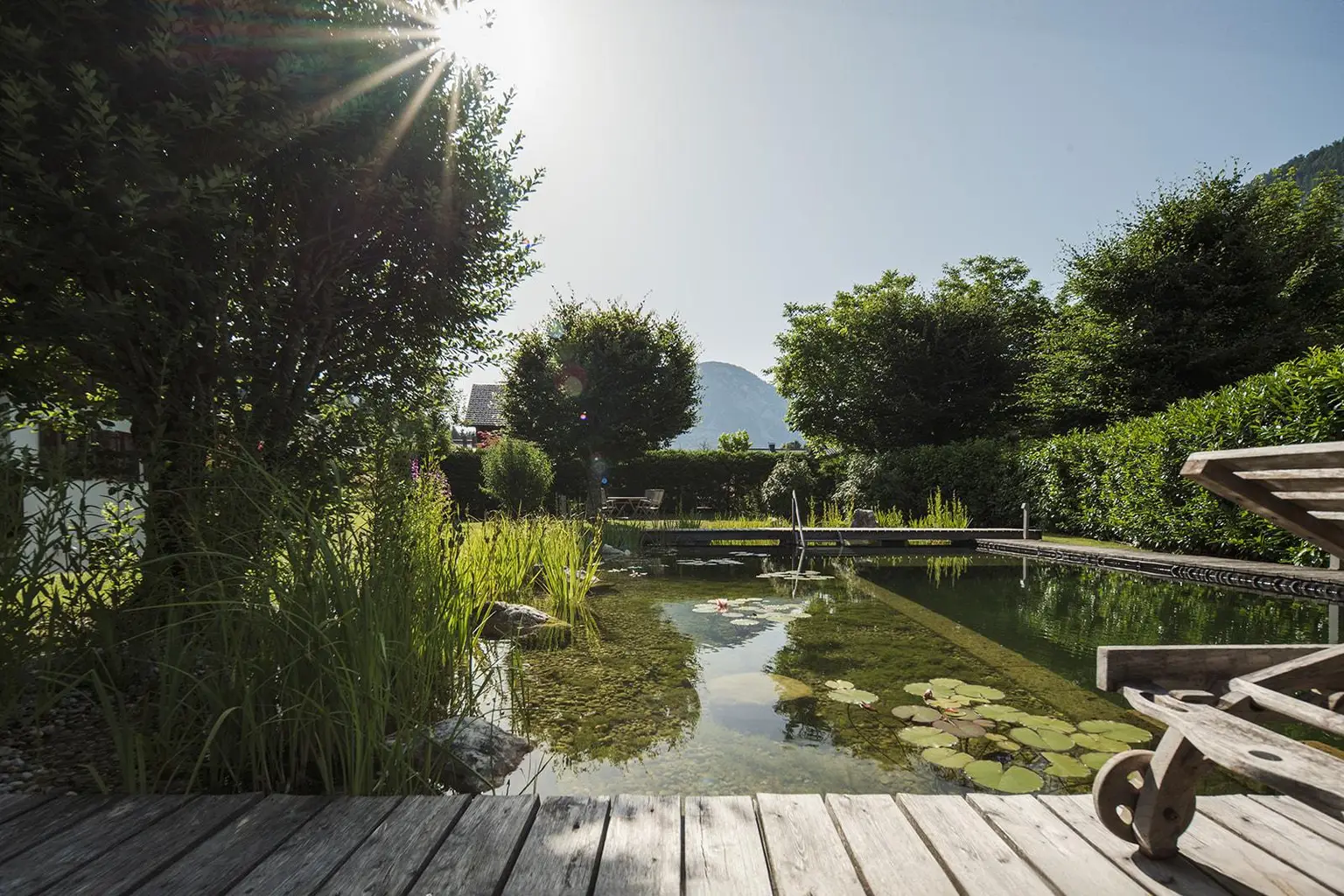 Familienanwesen - stilvoll mit großem Garten und Schwimmteich