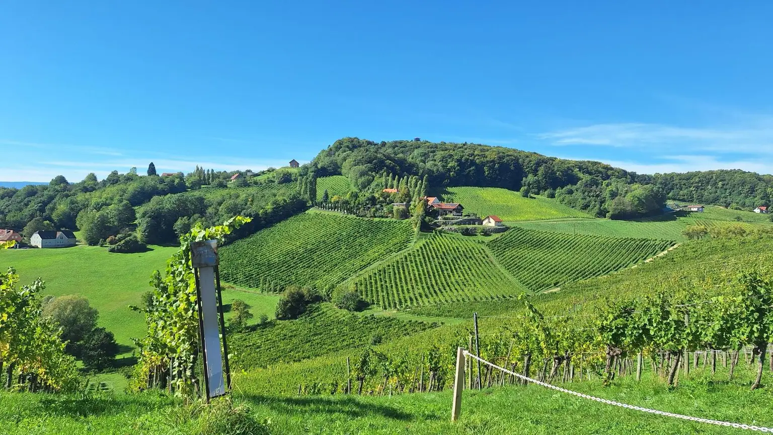 "Above it All" – Luxus-Apartment am Hochgrassnitzberg mit Aussicht und Anlagefaktor