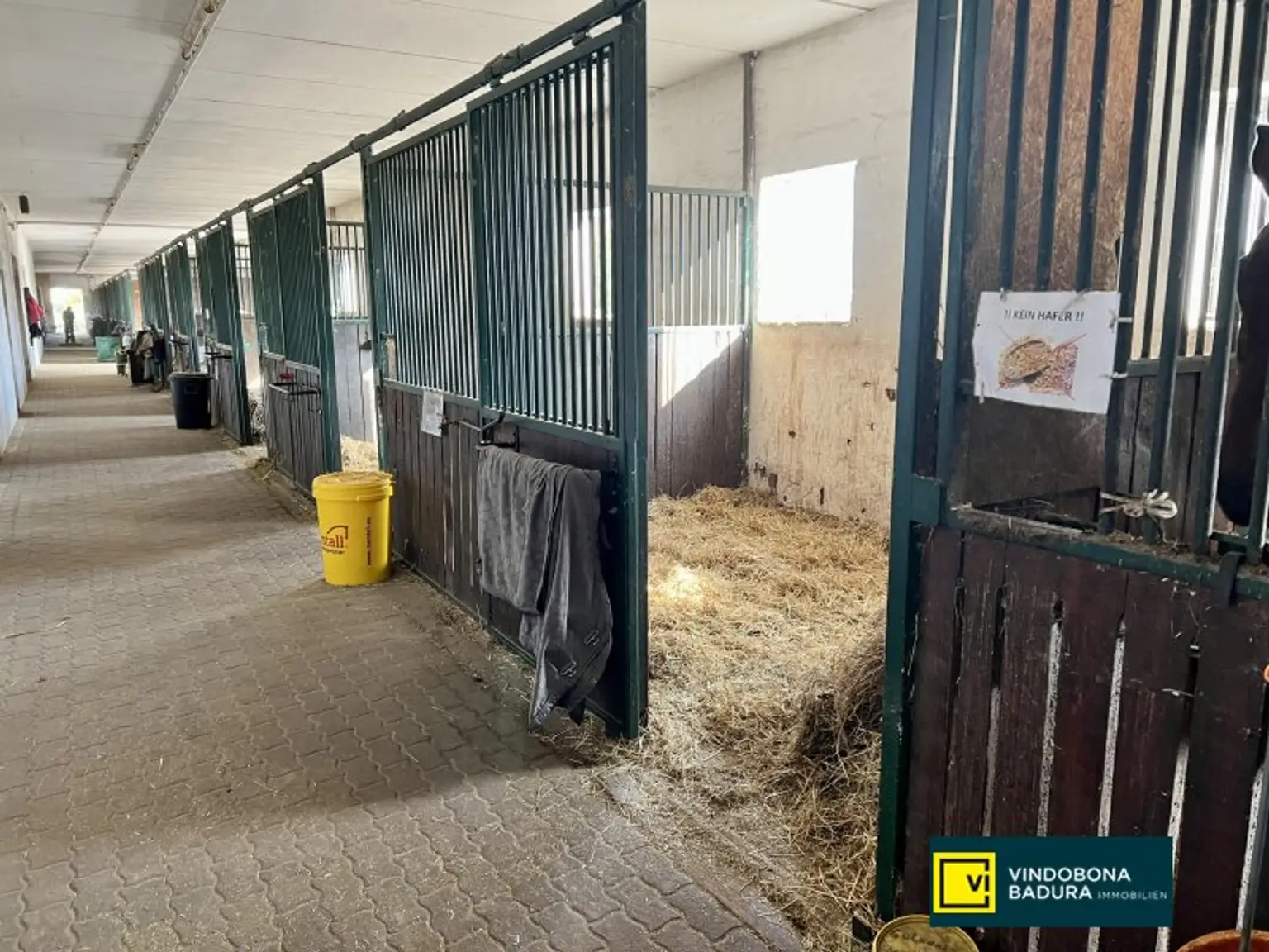 Exklusive Reitsportanlage vor den Toren Wiens – 145 Boxen | Reithallen | Reitplätze | Koppeln | Villa & Personalwohnungen