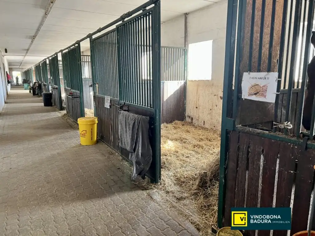 Exklusive Reitsportanlage vor den Toren Wiens – 145 Boxen | Reithallen | Reitplätze | Koppeln | Villa & Personalwohnungen