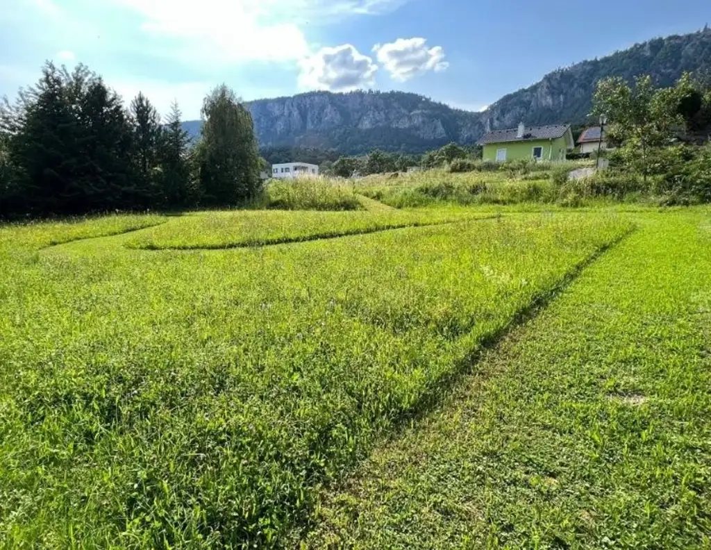 Traumhaftes Baugrundstück in bester Lage - Natur pur & Weitblick inklusive!