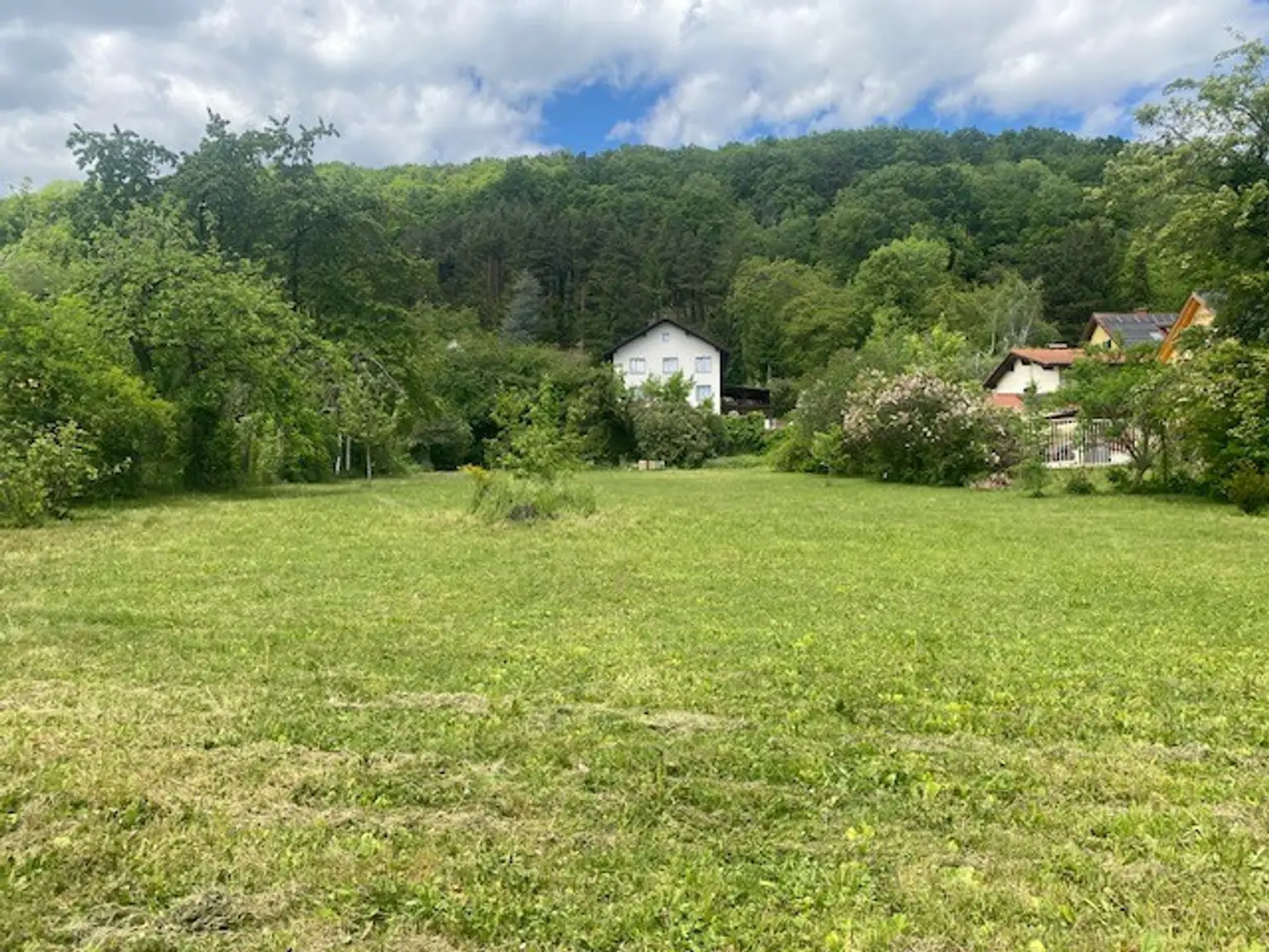Gartenansicht Richtung Norden