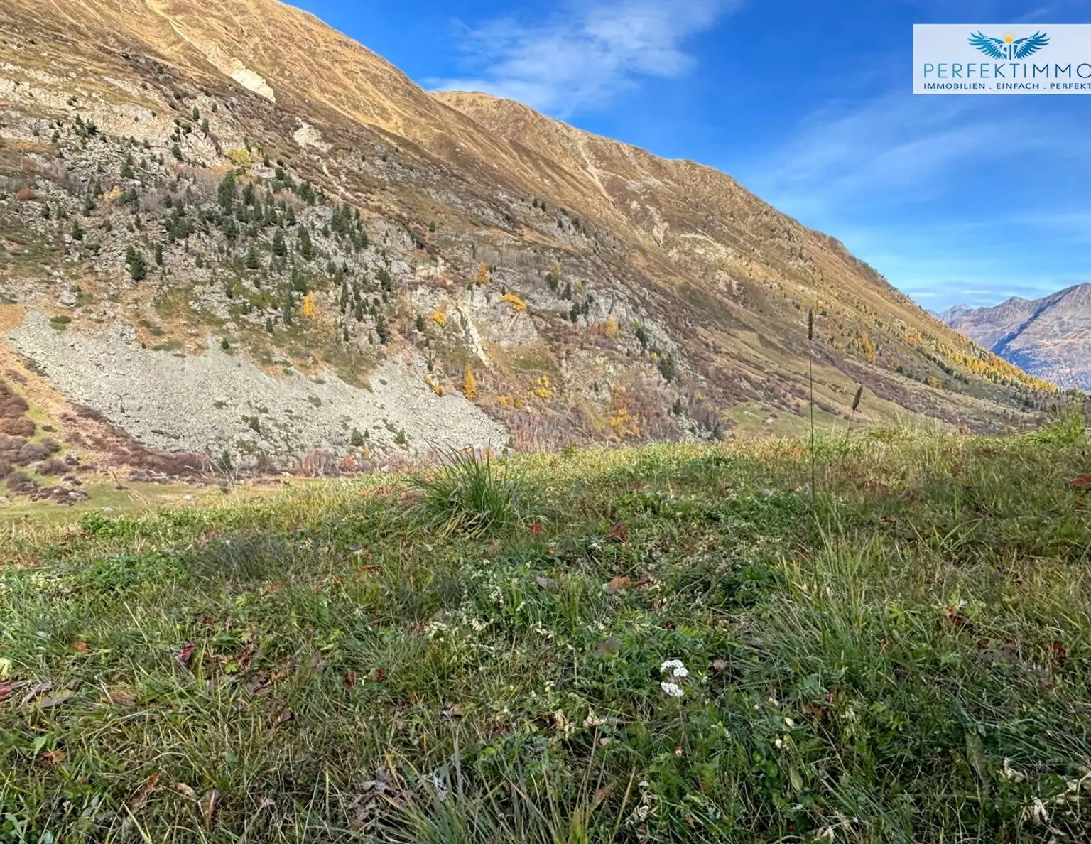 Baugrund in sonniger Lage