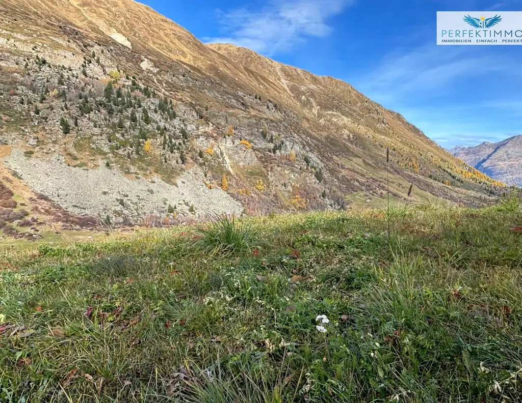 Baugrund in sonniger Lage