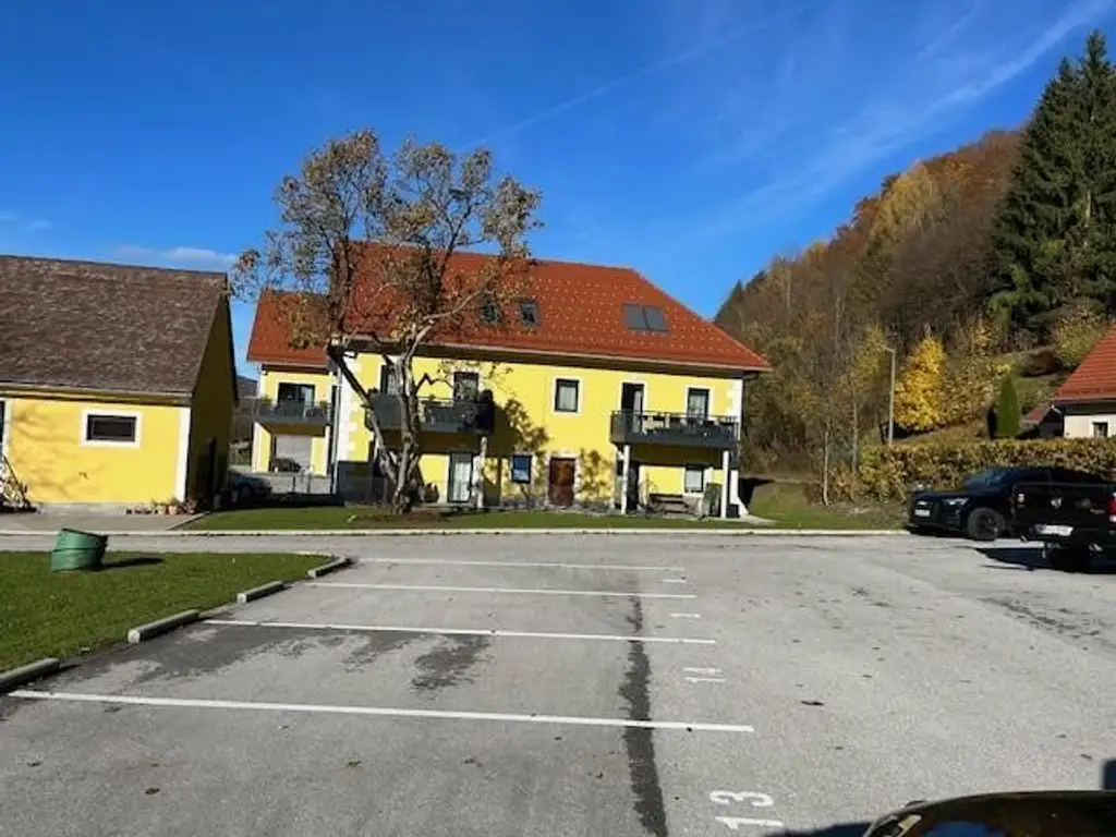 Zinshaus mit 14 Wohnungen und Erweiterungsfläche- Liebevoll renoviertes ehemaliges Herrenhaus einer Sensenschmiede
