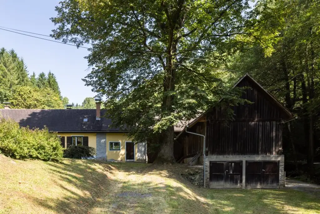 Ehemaliges Forsthaus mit Wirtschaftsgebäuden, allein und ruhig im Wald gelegen.