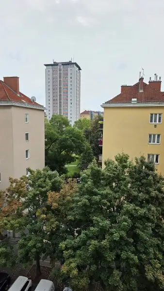 Erfolgreich studieren In Wien!