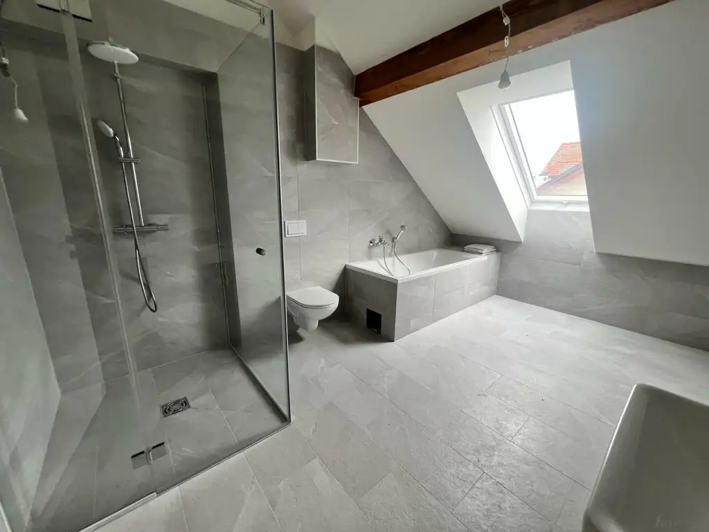 Penthouse-Wohnung + 270m2 Dachterrasse zur Miete als Wohnung oder Büro