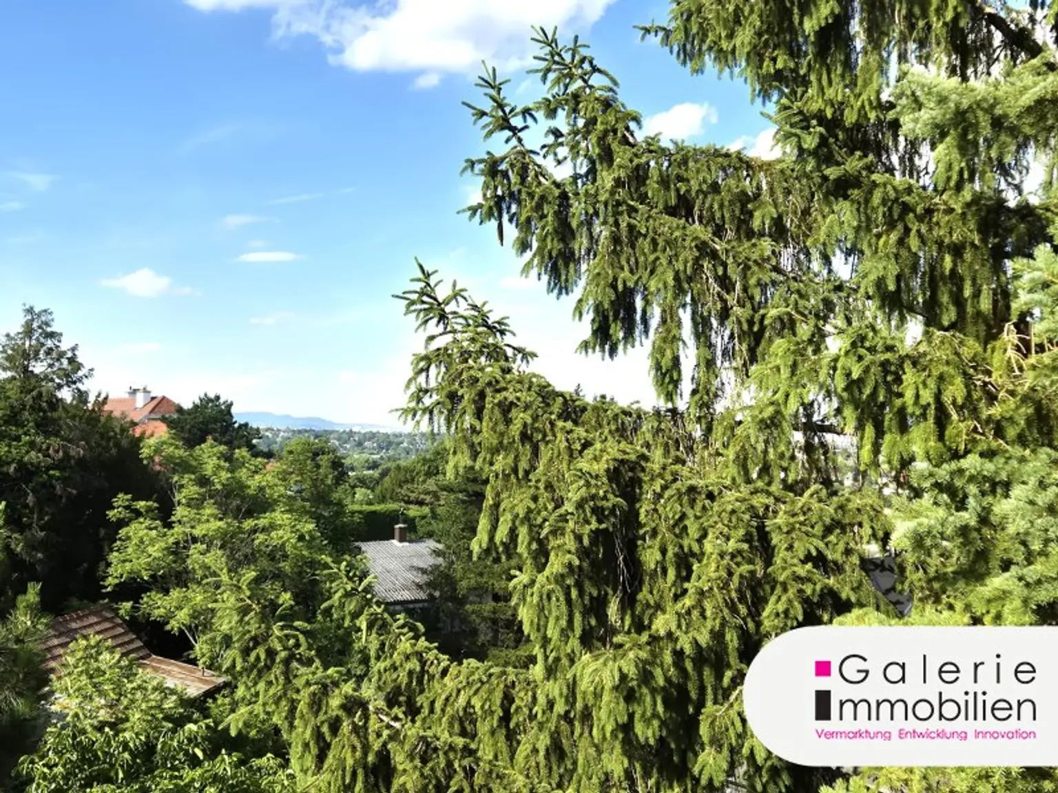 Fernblick