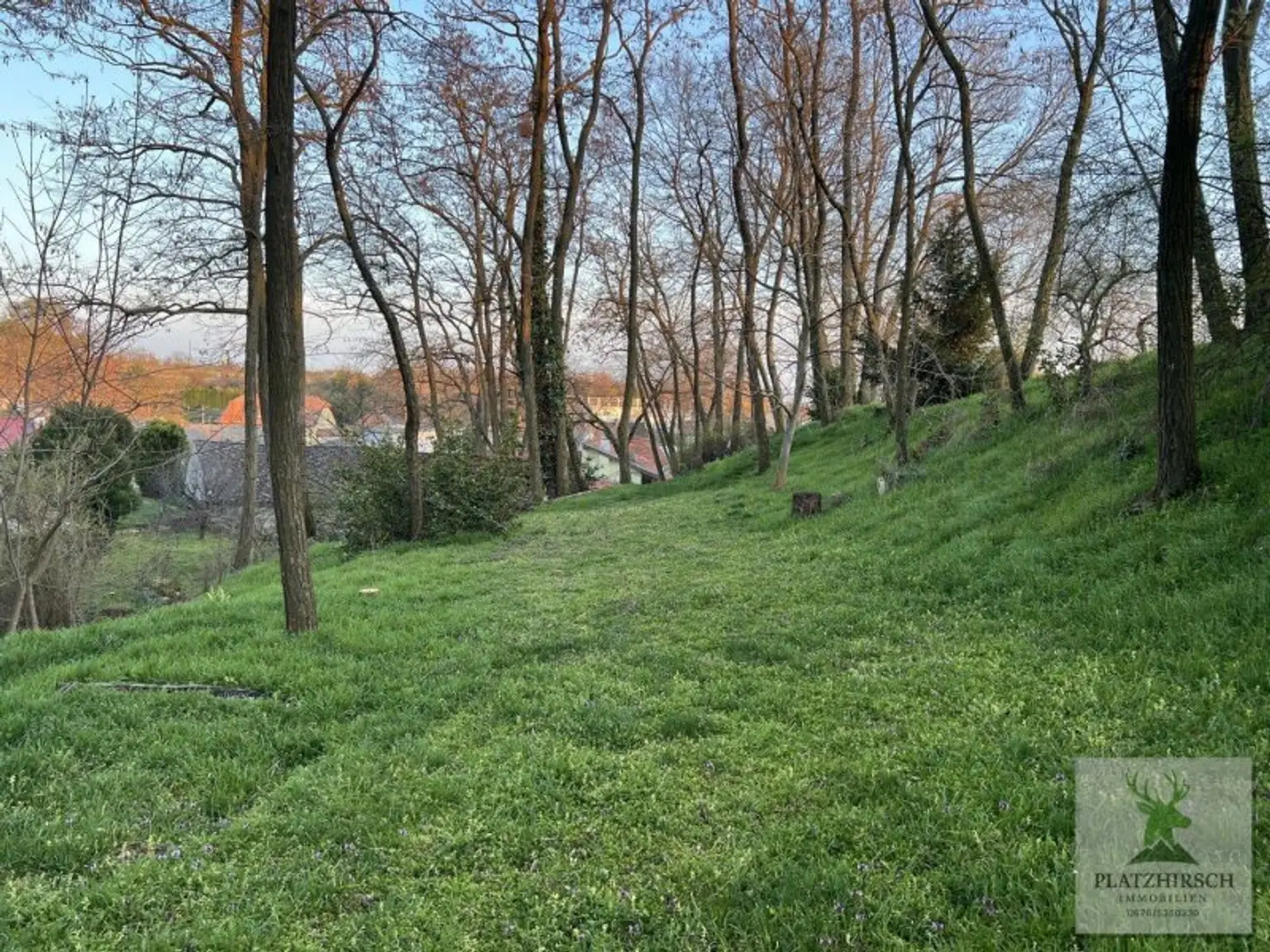 Einzigartiges Liebhaberobjekt mit toskanischem Flair, riesigem Garten, herrlichem Wintergarten, in Prottes - 35 Min von Wien - 8 Minuten von Gänserndorf