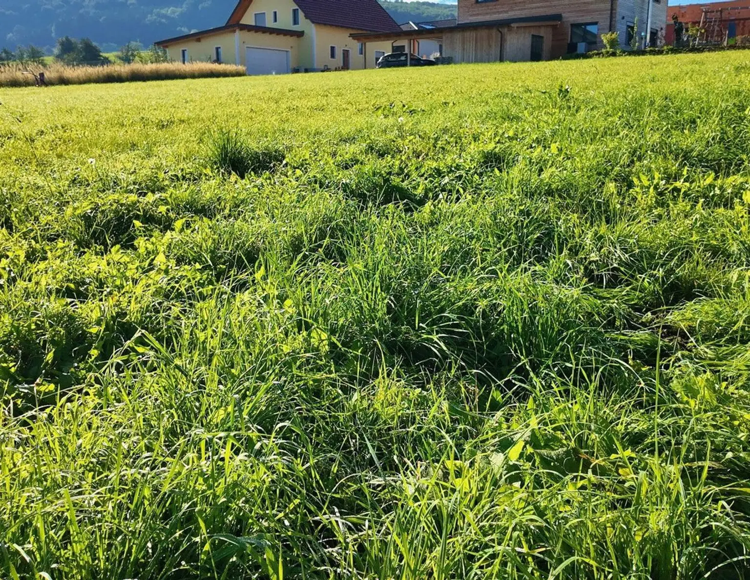 BAUGRUNDSTÜCK in Bischofstetten/ NÖ im Bezirk Melk (Entfernung St. Pölten 15 km)