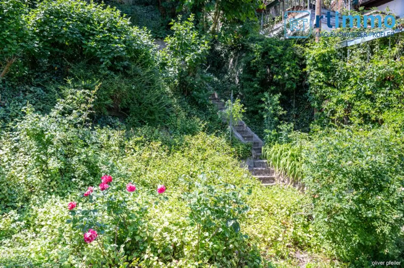 SELTENE GELEGENHEIT AM FUSSE DES KAHLENBERGS: Haus mit 835 qm Eigengrund zu kaufen + ca. 2500 qm anschließenden, sehr günstigen Pachtgrund zu übernehmen!