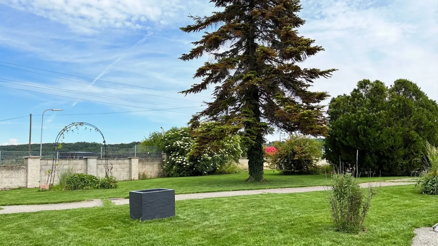 Vorgarten(Wiese mit KI bearbeitet)